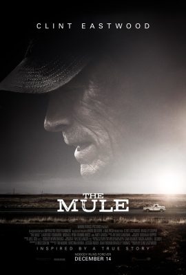 Già Gân – The Mule (2018)'s poster