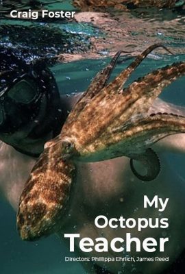 Cô Giáo Bạch Tuộc – My Octopus Teacher (2020)'s poster