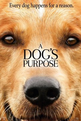 Mục Đích Sống Của Một Chú Chó – A Dog’s Purpose (2017)'s poster