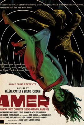Poster phim Mái Nhà Xưa – Amer (2009)