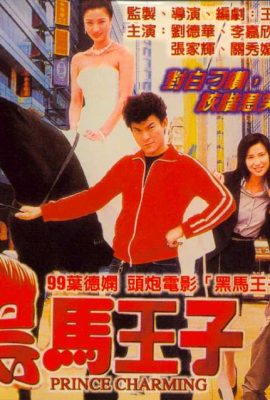 Hắc Mã Hoàng Tử – Prince Charming (1999)'s poster