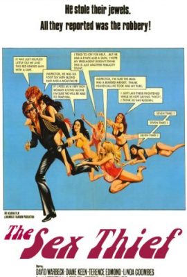 Poster phim Tên Trộm Số Hưởng – Sex Thief (1973)