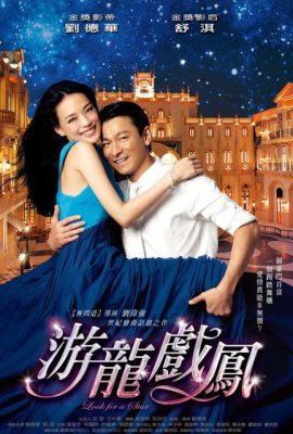 Tình Mộng Kỳ Duyên – Look for a Star (2009)'s poster