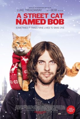 Chú mèo đường phố tên Bob – A Street Cat Named Bob (2016)'s poster