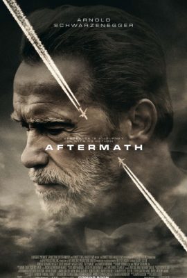 Sau thảm họa – Aftermath (2017)'s poster