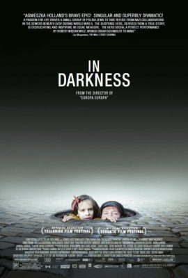Poster phim Trốn Trong Lòng Địch – In Darkness (2011)