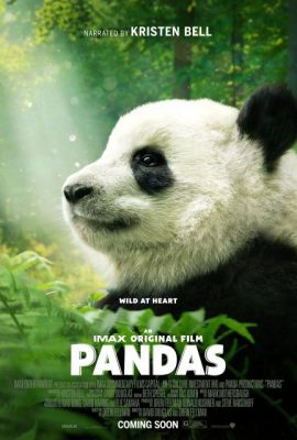 Gấu Trúc – Pandas (2018)'s poster