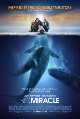 Giải Cứu Cá Heo – Big Miracle (2012)'s poster