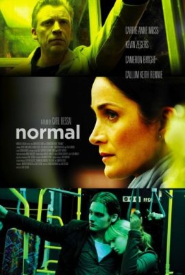 Poster phim Vợ Chồng Vụng Trộm – Normal (2007)