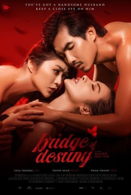 Poster phim Chồng Người Ta – Bridge of Destiny (2020)