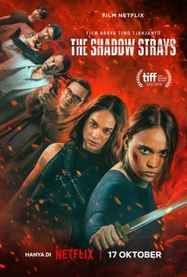 Sát Thủ Mật Danh 13 – The Shadow Strays (2024)'s poster